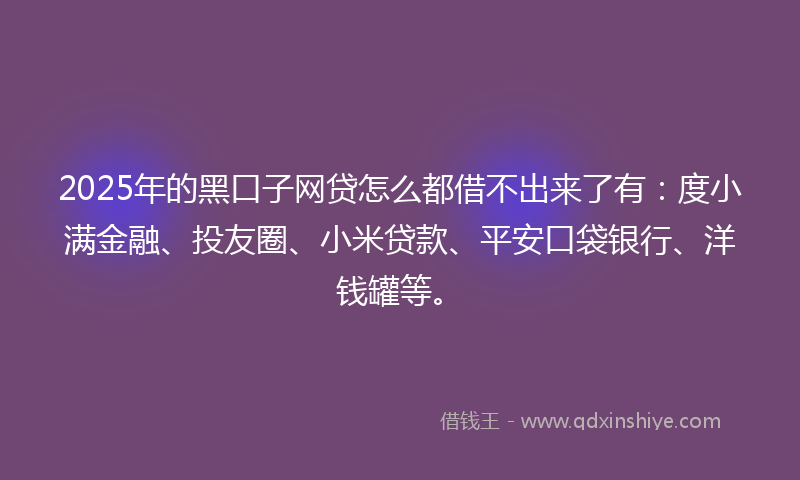 2025年的黑口子网贷怎么都借不出来了有：度小满金融、投友圈、小米贷款、平安口袋银行、洋钱罐等。