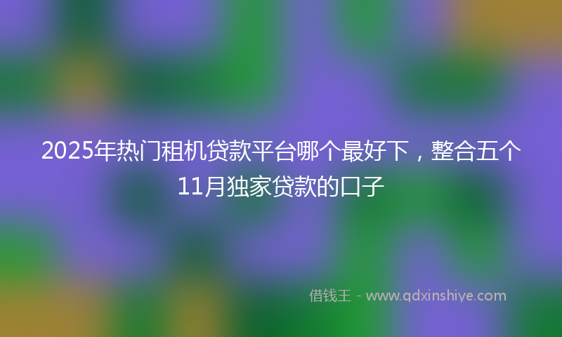 2025年热门租机贷款平台哪个最好下，整合五个11月独家贷款的口子
