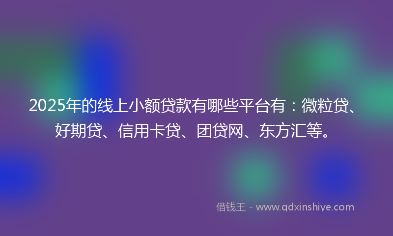 2025年的线上小额贷款有哪些平台有：微粒贷、好期贷、信用卡贷、团贷网、东方汇等。