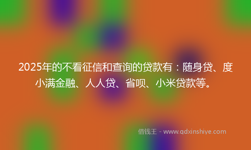 2025年的不看征信和查询的贷款有：随身贷、度小满金融、人人贷、省呗、小米贷款等。