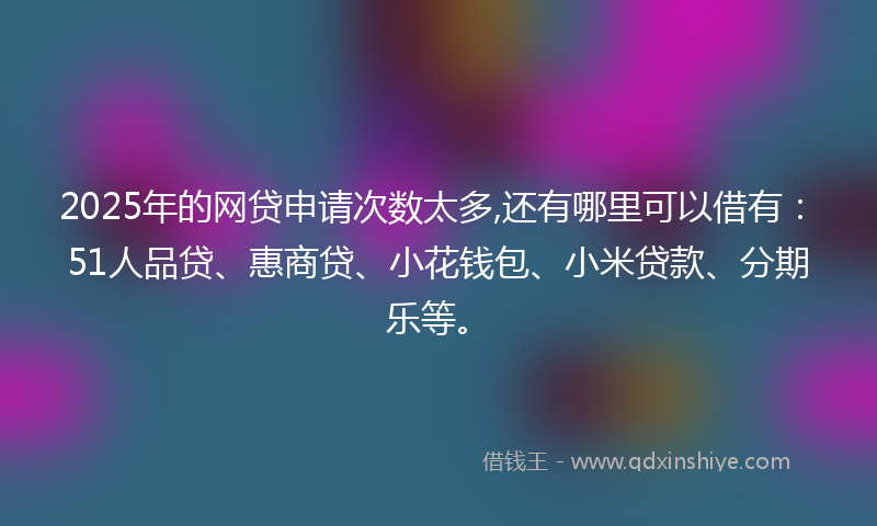 2025年的网贷申请次数太多,还有哪里可以借有：51人品贷、惠商贷、小花钱包、小米贷款、分期乐等。
