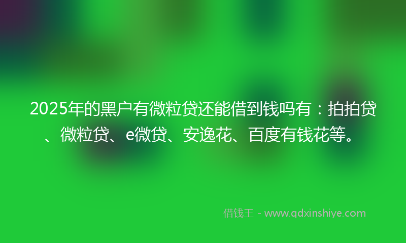 2025年的黑户有微粒贷还能借到钱吗有：拍拍贷、微粒贷、e微贷、安逸花、百度有钱花等。
