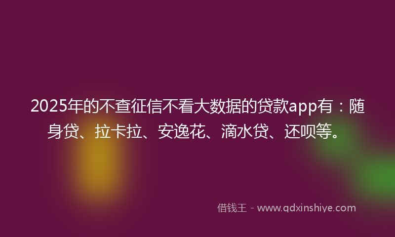 2025年的不查征信不看大数据的贷款app有：随身贷、拉卡拉、安逸花、滴水贷、还呗等。