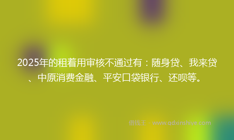 2025年的租着用审核不通过有：随身贷、我来贷、中原消费金融、平安口袋银行、还呗等。