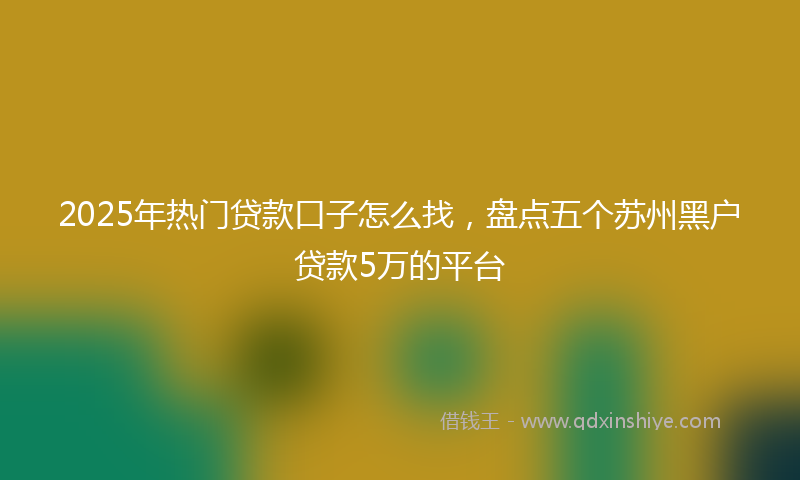 2025年热门贷款口子怎么找，盘点五个苏州黑户贷款5万的平台