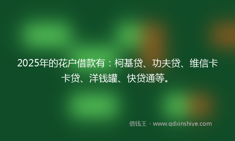 2025年的花户借款有:柯基贷、功夫贷、维信卡卡贷、洋钱罐、快贷通等。
