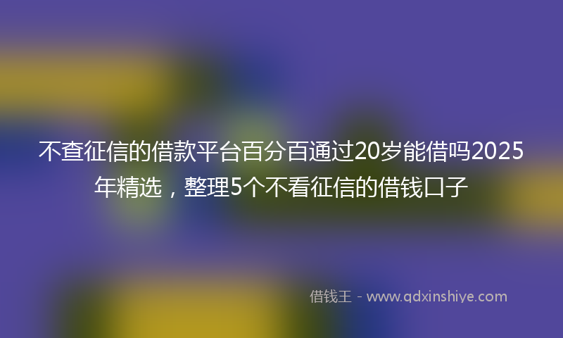 不查征信的借款平台百分百通过20岁能借吗2025年精选，整理5个不看征信的借钱口子