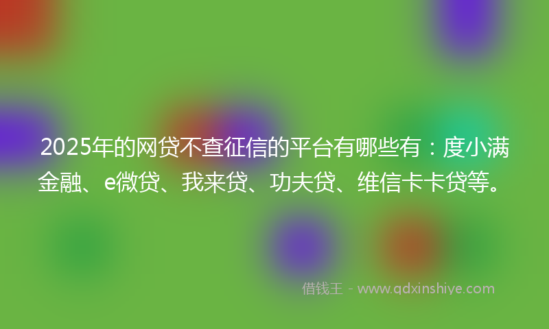 2025年的网贷不查征信的平台有哪些有：度小满金融、e微贷、我来贷、功夫贷、维信卡卡贷等。