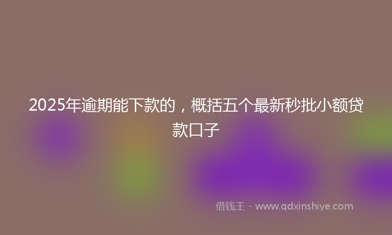 2025年逾期能下款的，概括五个最新秒批小额贷款口子