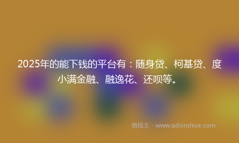 2025年的能下钱的平台有：随身贷、柯基贷、度小满金融、融逸花、还呗等。