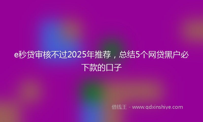 e秒贷审核不过2025年推荐，总结5个网贷黑户必下款的口子