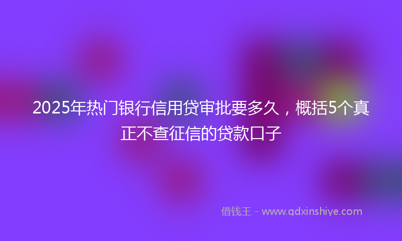 2025年热门银行信用贷审批要多久，概括5个真正不查征信的贷款口子