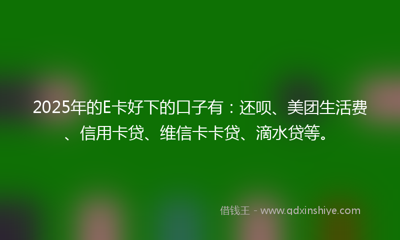 2025年的E卡好下的口子有：还呗、美团生活费、信用卡贷、维信卡卡贷、滴水贷等。