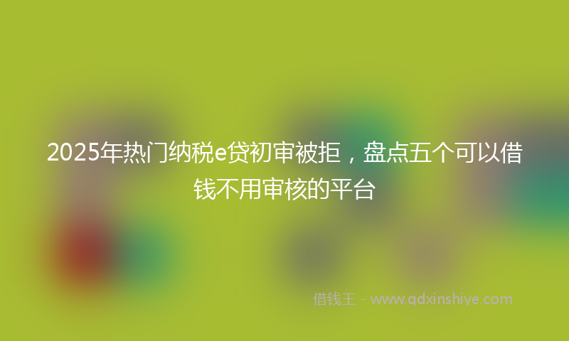 2025年热门纳税e贷初审被拒，盘点五个可以借钱不用审核的平台