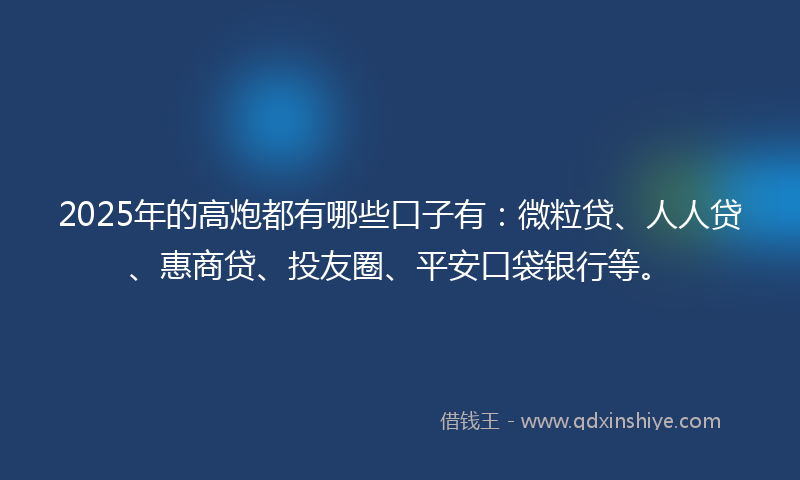 2025年的高炮都有哪些口子有：微粒贷、人人贷、惠商贷、投友圈、平安口袋银行等。