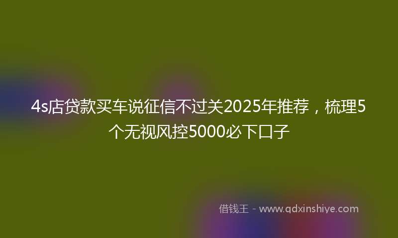 4s店贷款买车说征信不过关2025年推荐，梳理5个无视风控5000必下口子
