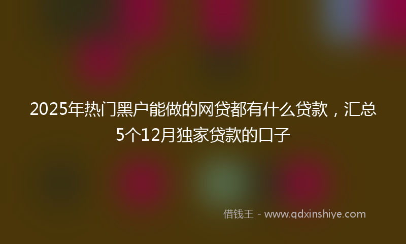 2025年热门黑户能做的网贷都有什么贷款，汇总5个12月独家贷款的口子