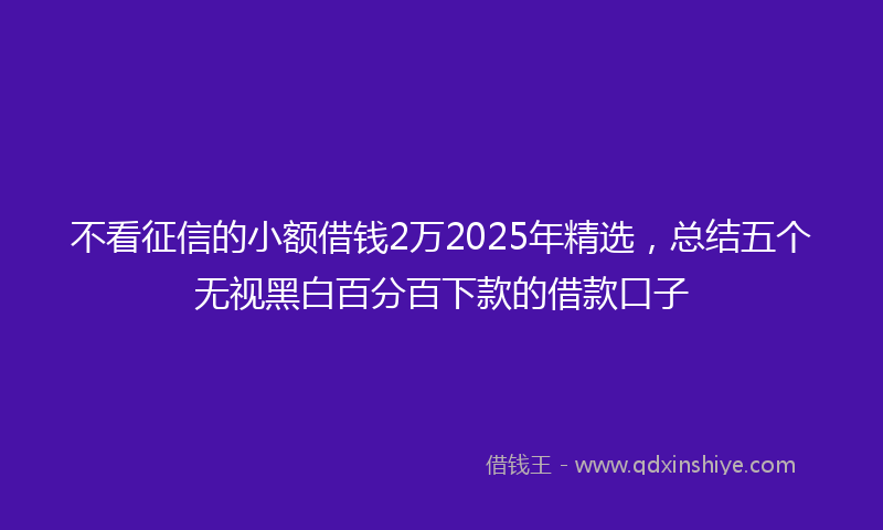 不看征信的小额借钱2万2025年精选,总结五个无视黑白百分百下款的借款口子