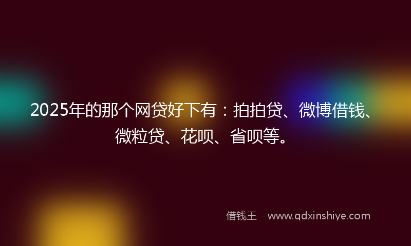2025年的那个网贷好下有：拍拍贷、微博借钱、微粒贷、花呗、省呗等。