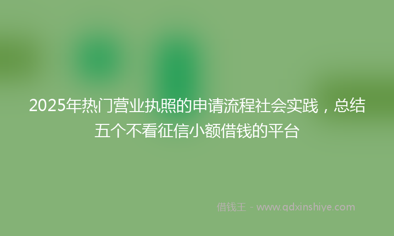 2025年热门营业执照的申请流程社会实践,总结五个不看征信小额借钱的平台