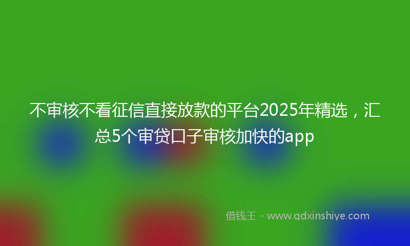 不审核不看征信直接放款的平台2025年精选，汇总5个审贷口子审核加快的app