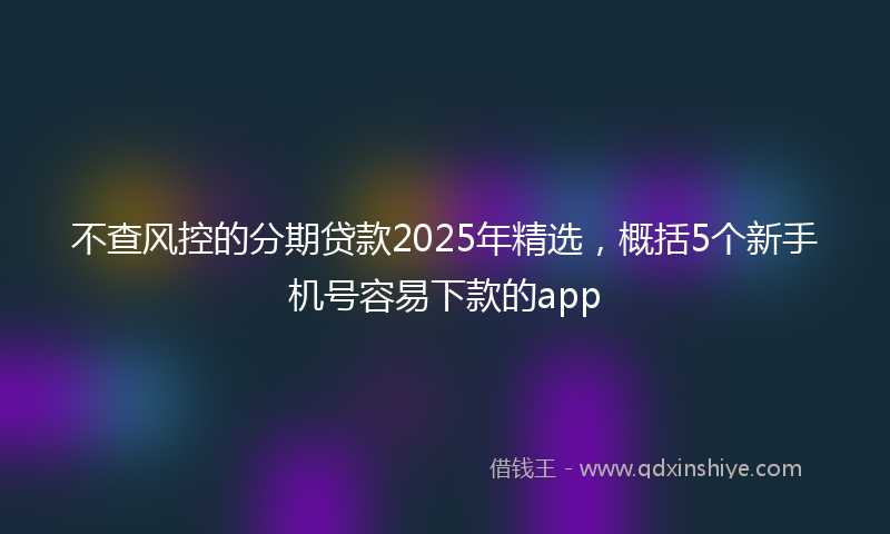 不查风控的分期贷款2025年精选，概括5个新手机号容易下款的app