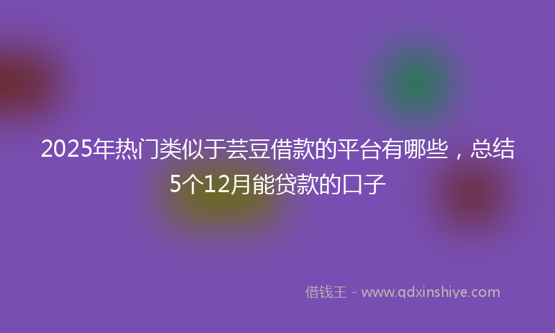 2025年热门类似于芸豆借款的平台有哪些，总结5个12月能贷款的口子