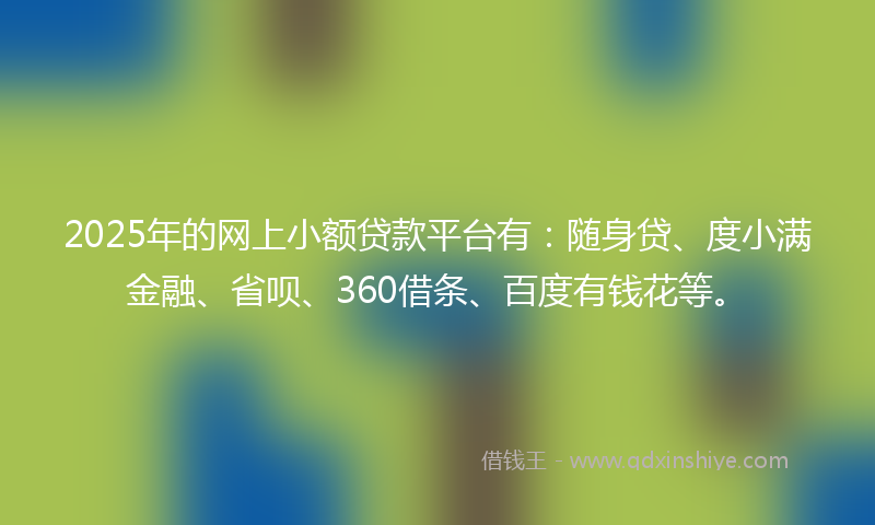 2025年的网上小额贷款平台有：随身贷、度小满金融、省呗、360借条、百度有钱花等。