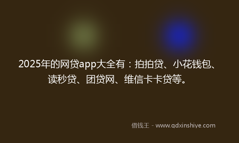 2025年的网贷app大全有：拍拍贷、小花钱包、读秒贷、团贷网、维信卡卡贷等。