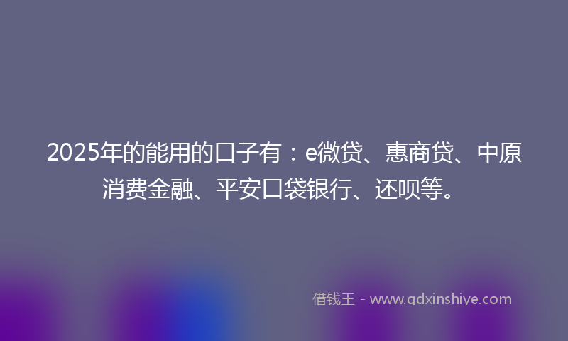 2025年的能用的口子有：e微贷、惠商贷、中原消费金融、平安口袋银行、还呗等。