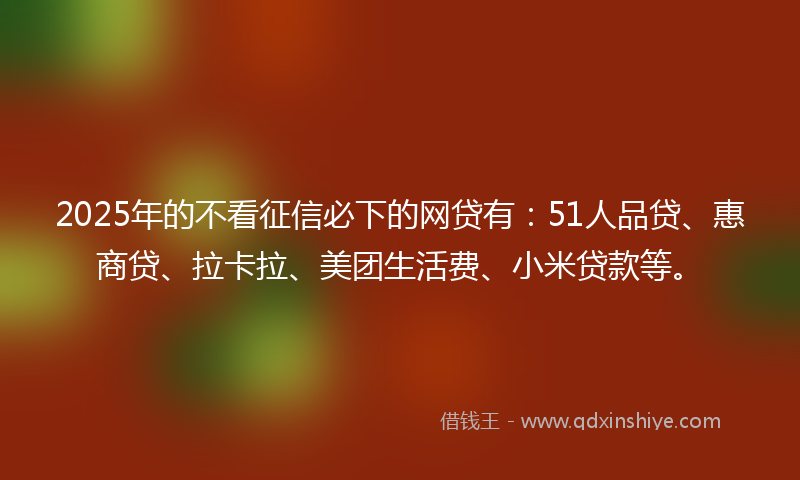 2025年的不看征信必下的网贷有：51人品贷、惠商贷、拉卡拉、美团生活费、小米贷款等。