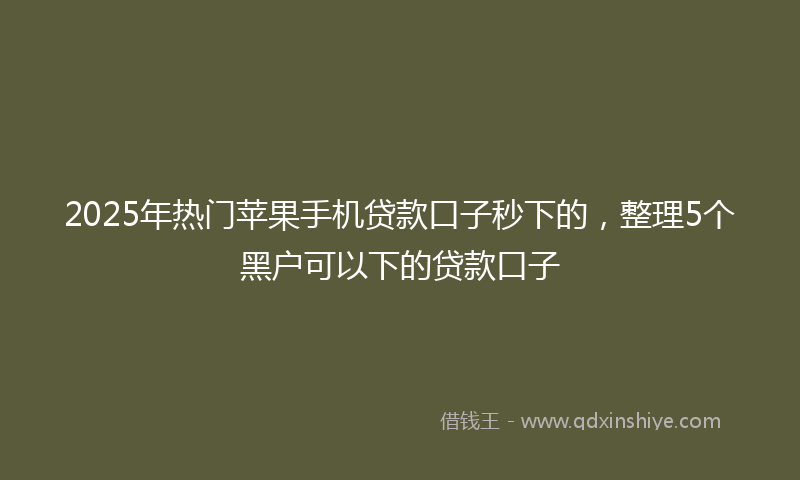 2025年热门苹果手机贷款口子秒下的，整理5个黑户可以下的贷款口子