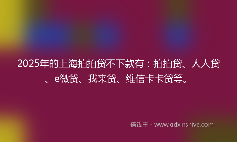2025年的上海拍拍贷不下款有：拍拍贷、人人贷、e微贷、我来贷、维信卡卡贷等。