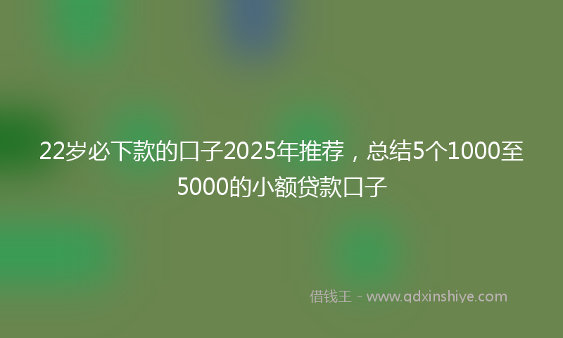 22岁必下款的口子2025年推荐,总结5个1000至5000的小额贷款口子