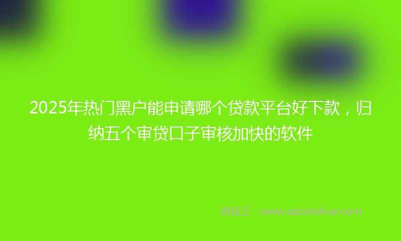 2025年热门黑户能申请哪个贷款平台好下款，归纳五个审贷口子审核加快的软件
