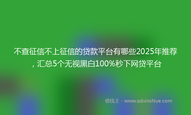 不查征信不上征信的贷款平台有哪些2025年推荐，汇总5个无视黑白100%秒下网贷平台
