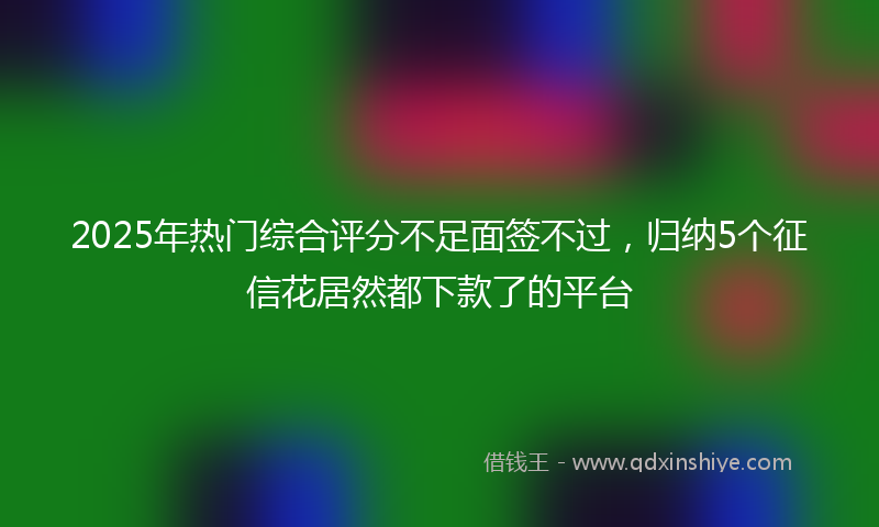 2025年热门综合评分不足面签不过，归纳5个征信花居然都下款了的平台