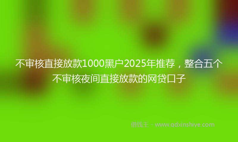 不审核直接放款1000黑户2025年推荐，整合五个不审核夜间直接放款的网贷口子