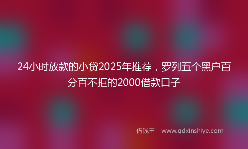 24小时放款的小贷2025年推荐，罗列五个黑户百分百不拒的2000借款口子
