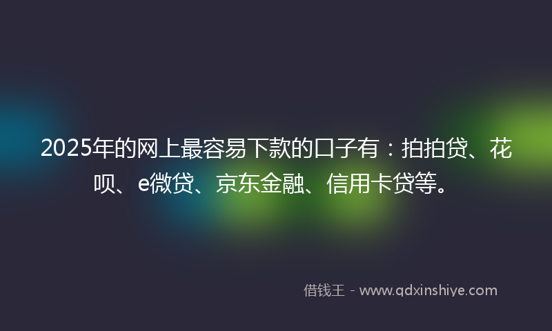 2025年的网上最容易下款的口子有：拍拍贷、花呗、e微贷、京东金融、信用卡贷等。