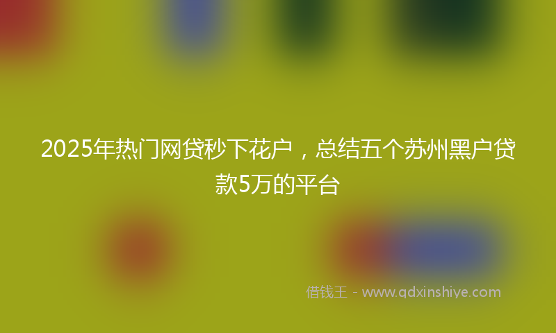 2025年热门网贷秒下花户，总结五个苏州黑户贷款5万的平台