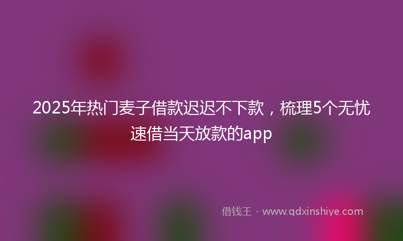2025年热门麦子借款迟迟不下款,梳理5个无忧速借当天放款的app