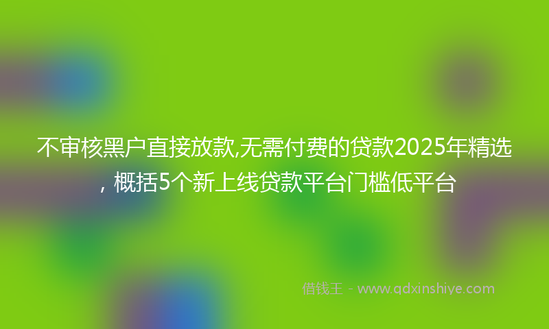 不审核黑户直接放款,无需付费的贷款2025年精选，概括5个新上线贷款平台门槛低平台