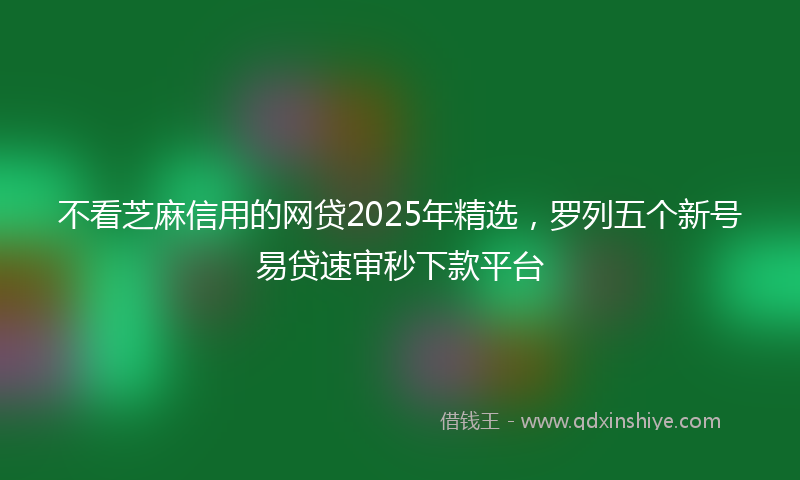 不看芝麻信用的网贷2025年精选，罗列五个新号易贷速审秒下款平台