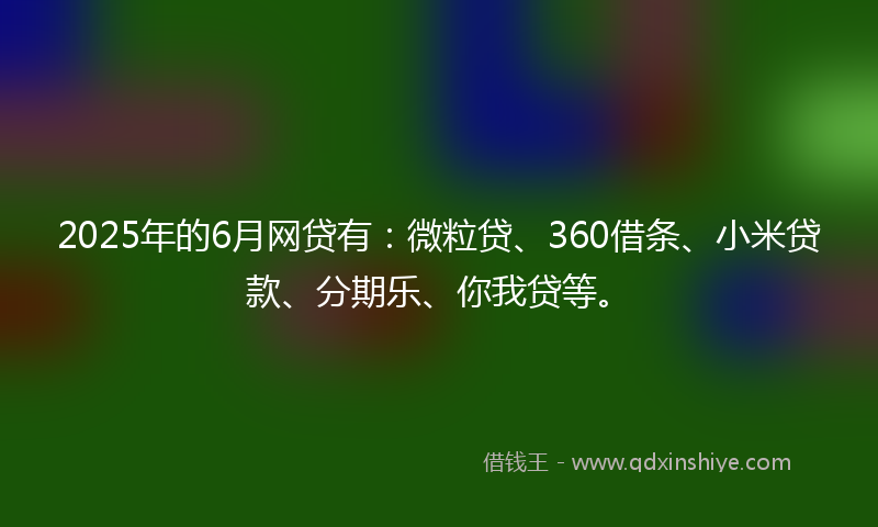 2025年的6月网贷有：微粒贷、360借条、小米贷款、分期乐、你我贷等。