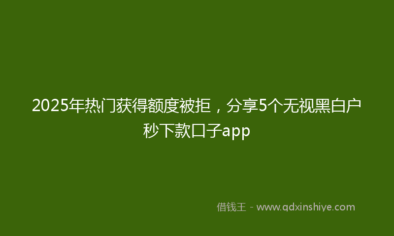 2025年热门获得额度被拒，分享5个无视黑白户秒下款口子app