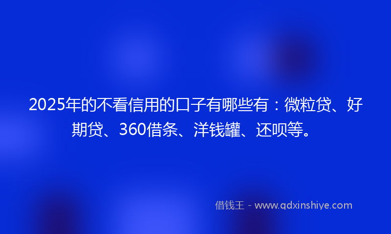 2025年的不看信用的口子有哪些有：微粒贷、好期贷、360借条、洋钱罐、还呗等。