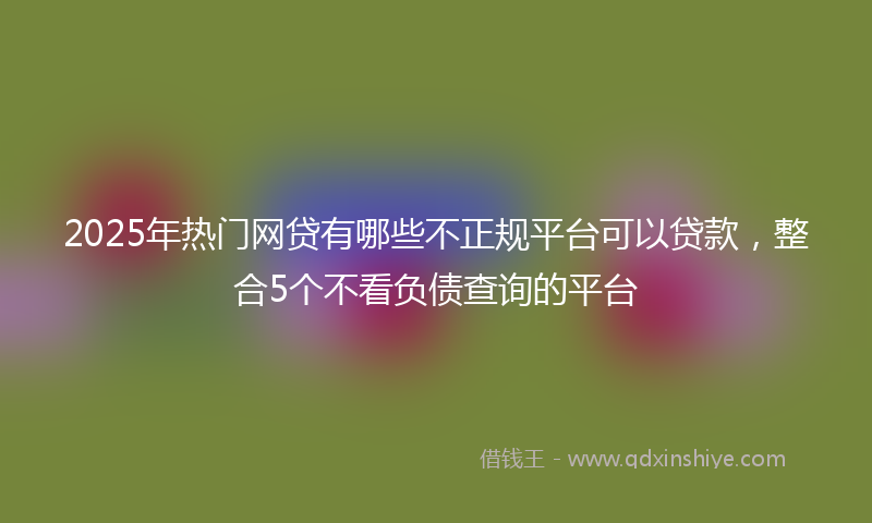 2025年热门网贷有哪些不正规平台可以贷款，整合5个不看负债查询的平台