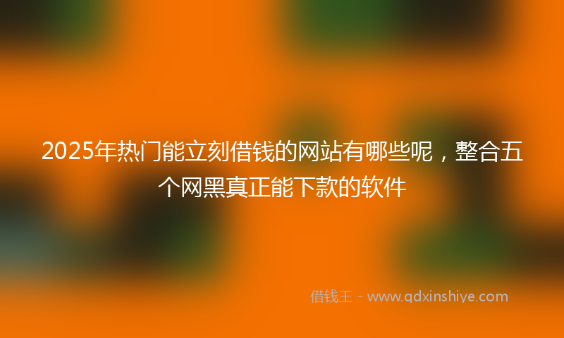2025年热门能立刻借钱的网站有哪些呢，整合五个网黑真正能下款的软件
