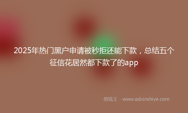 2025年热门黑户申请被秒拒还能下款，总结五个征信花居然都下款了的app